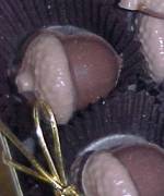 Acorn Candy